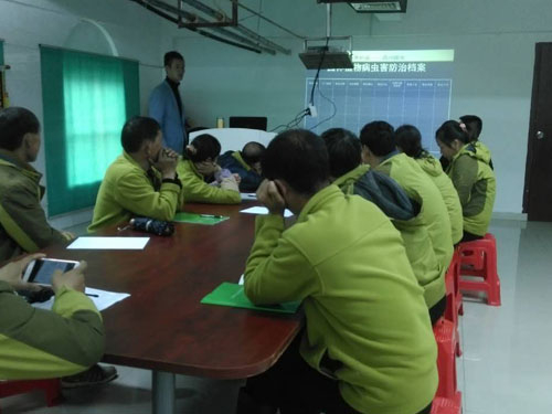 方特園林技術培訓會3