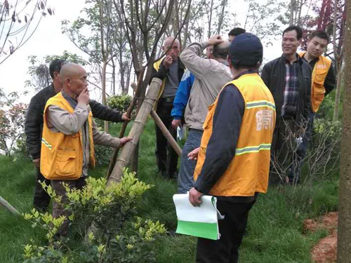 2016年盛景園林養(yǎng)護(hù)部雜草防除技術(shù)現(xiàn)場培訓(xùn)1