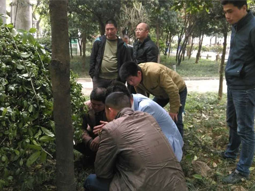 2016年醴陵市園林技術交流會-(2)