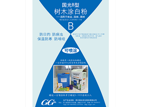 國光糊涂20千克B