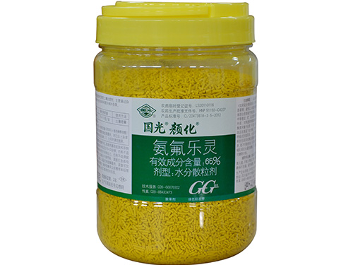 顏化500g