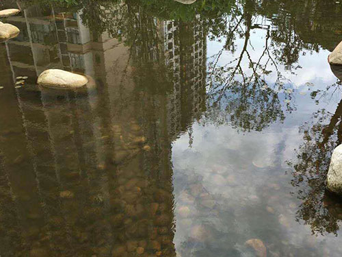 水中藻類(lèi)防除6