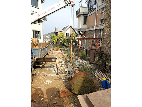 金絲楠木救治（3）