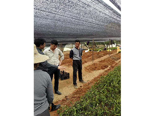 現(xiàn)場(chǎng)交流圖集 (2)