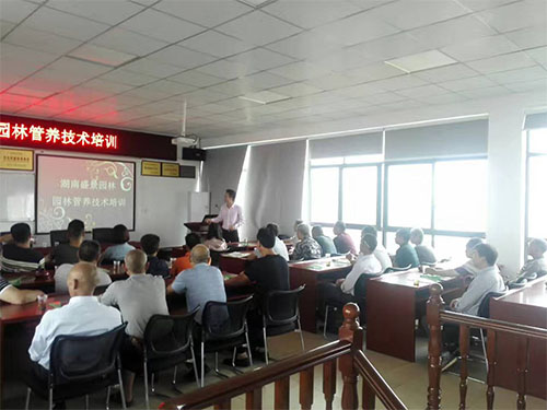 盛景園林養(yǎng)護技術(shù)培訓課 (1)