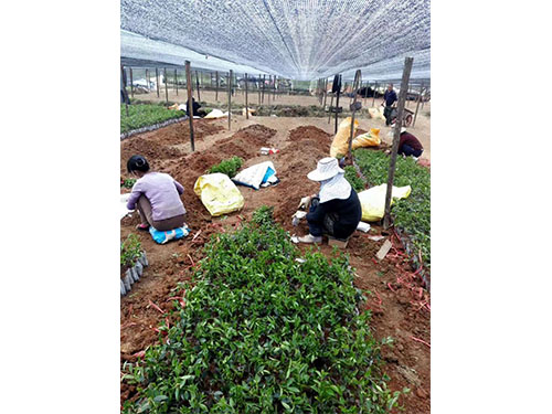 現(xiàn)場(chǎng)交流圖集 (3)