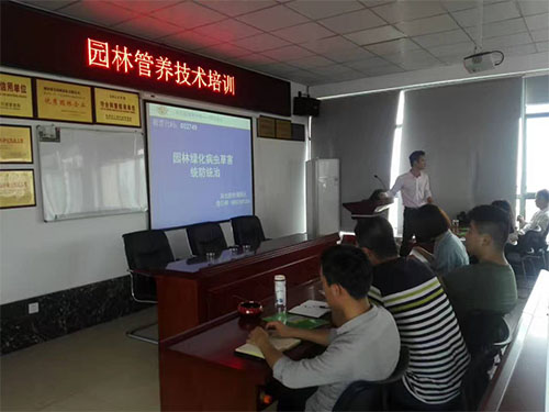 盛景園林養(yǎng)護技術(shù)培訓課 (2)