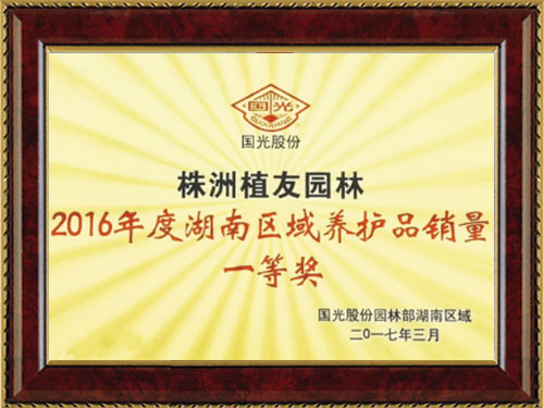 銷(xiāo)售獎(jiǎng)項(xiàng)