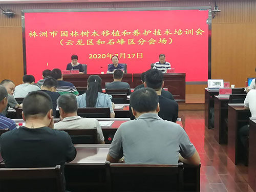 第六場——云龍區(qū)和石峰區(qū)分場