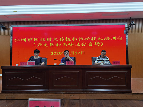 第六場(chǎng)——云龍區(qū)和石峰區(qū)分場(chǎng)