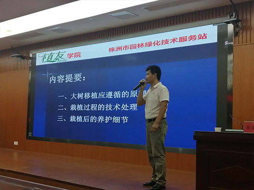 第六場——云龍區(qū)和石峰區(qū)分場