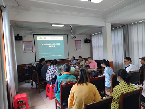 第三場(chǎng)——荷塘區(qū)分場(chǎng)