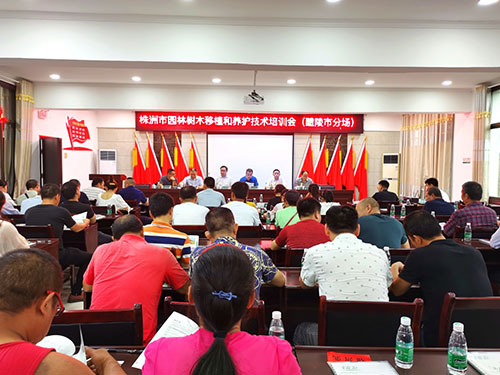 第五場(chǎng)——醴陵市分場(chǎng)