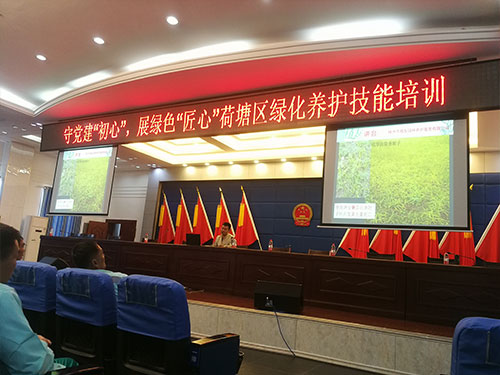 荷塘區(qū)綠化養(yǎng)護技能培訓(xùn)