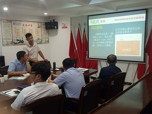 湖南建工匯博物業(yè)綠化養(yǎng)護(hù)技術(shù)交流會(huì)