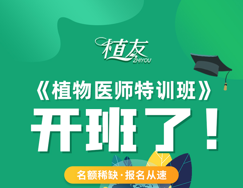 植物醫(yī)師特訓(xùn)班