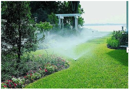 株洲市植友園林養(yǎng)護服務(wù)有限公司_株洲園林綠化養(yǎng)護|株洲綠化管理|病蟲害防治哪里的好|株洲園林綠化工程公司|白蟻防治病蟲害治理