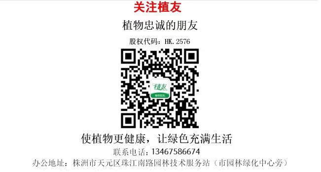 株洲植友職業(yè)培訓(xùn)學(xué)校有限公司_株洲園林綠化養(yǎng)護(hù)|株洲綠化管理|病蟲害防治哪里的好|株洲園林綠化工程公司|白蟻防治病蟲害治理