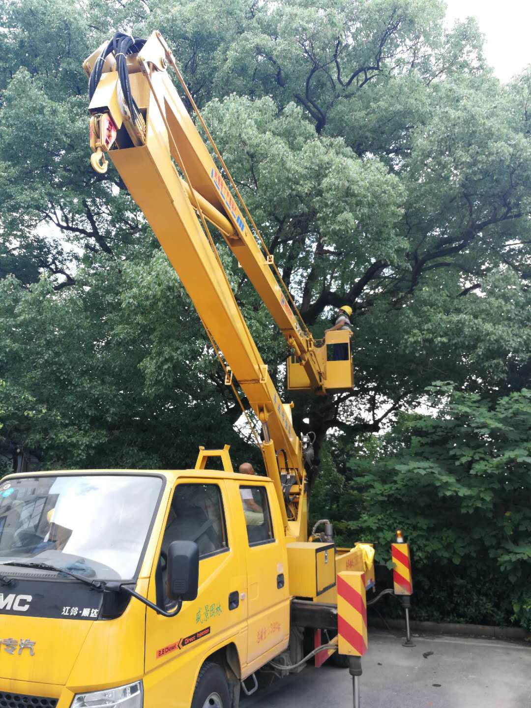 株洲植友職業(yè)培訓(xùn)學(xué)校有限公司_株洲園林綠化養(yǎng)護|株洲綠化管理|病蟲害防治哪里的好|株洲園林綠化工程公司|白蟻防治病蟲害治理