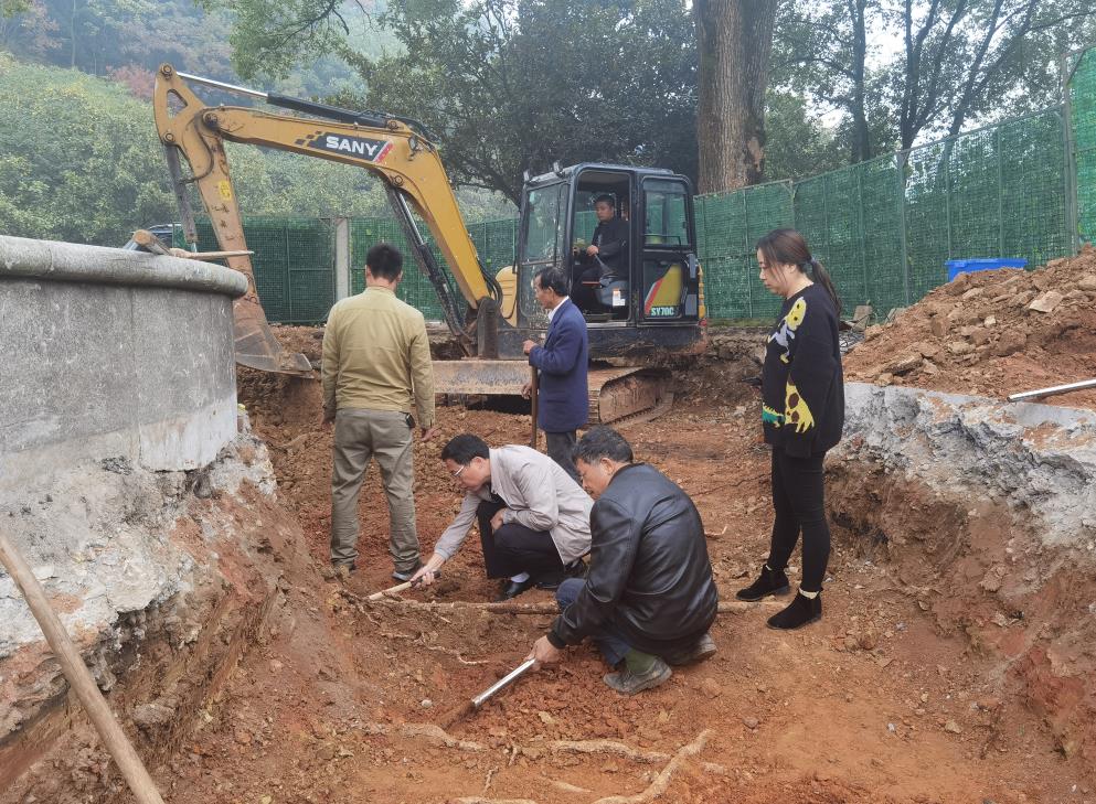株洲植友職業(yè)培訓(xùn)學(xué)校有限公司_株洲園林綠化養(yǎng)護(hù)|株洲綠化管理|病蟲(chóng)害防治哪里的好|株洲園林綠化工程公司|白蟻防治病蟲(chóng)害治理