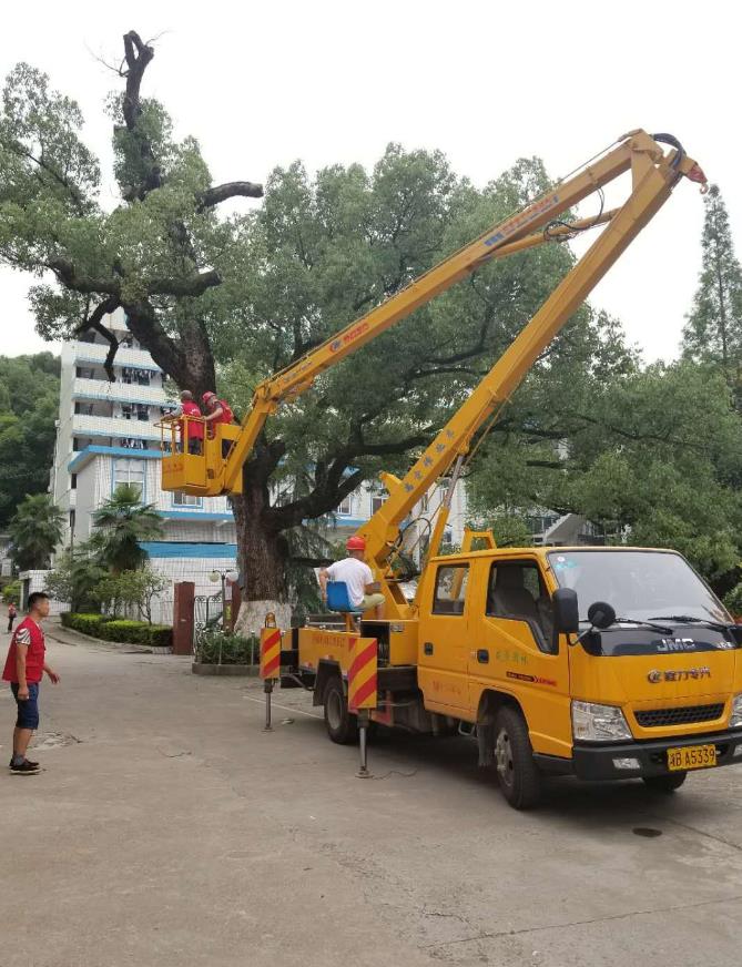 株洲植友職業(yè)培訓(xùn)學(xué)校有限公司_株洲園林綠化養(yǎng)護(hù)|株洲綠化管理|病蟲害防治哪里的好|株洲園林綠化工程公司|白蟻防治病蟲害治理