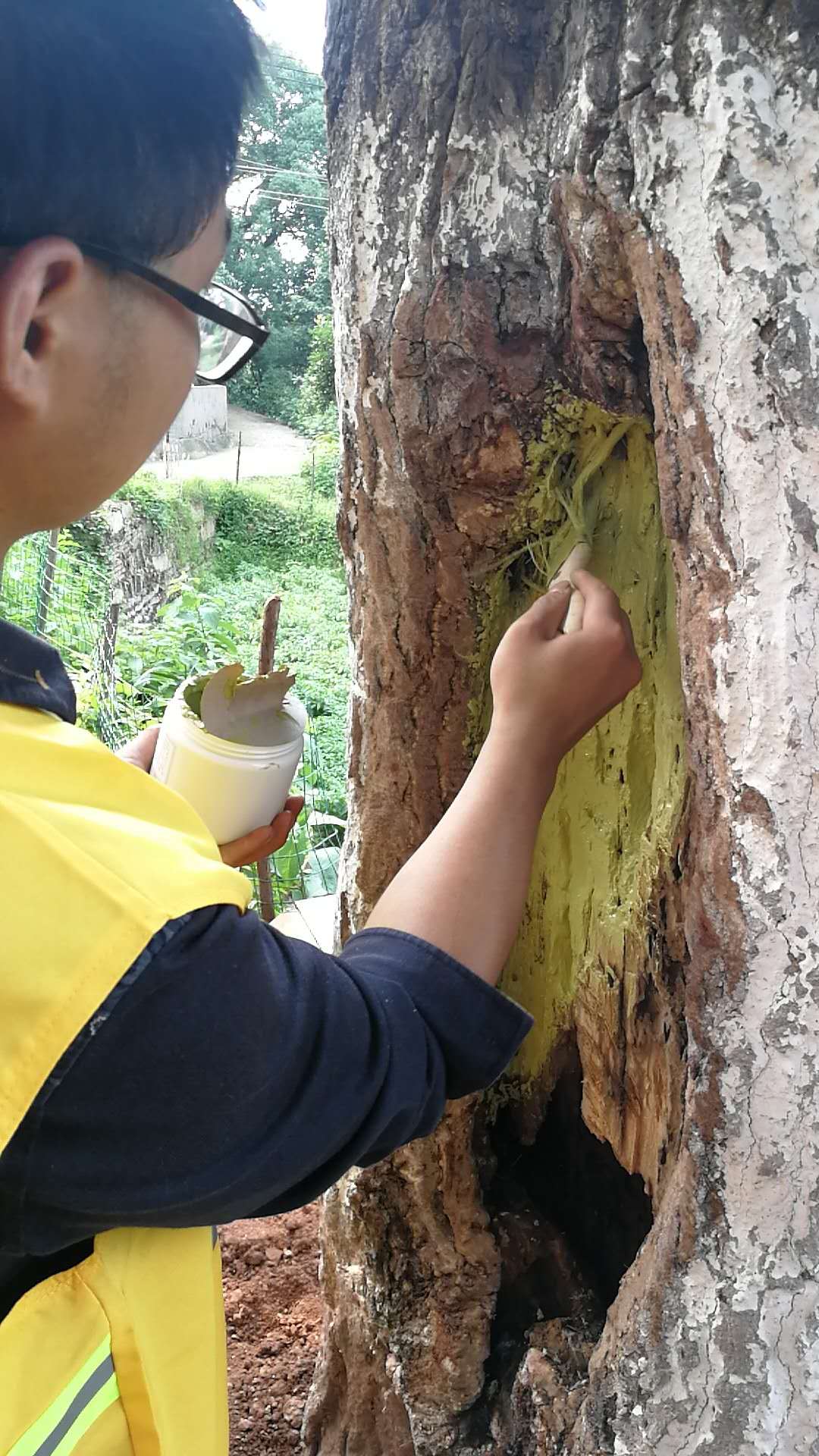 株洲植友職業(yè)培訓(xùn)學(xué)校有限公司_株洲園林綠化養(yǎng)護(hù)|株洲綠化管理|病蟲害防治哪里的好|株洲園林綠化工程公司|白蟻防治病蟲害治理