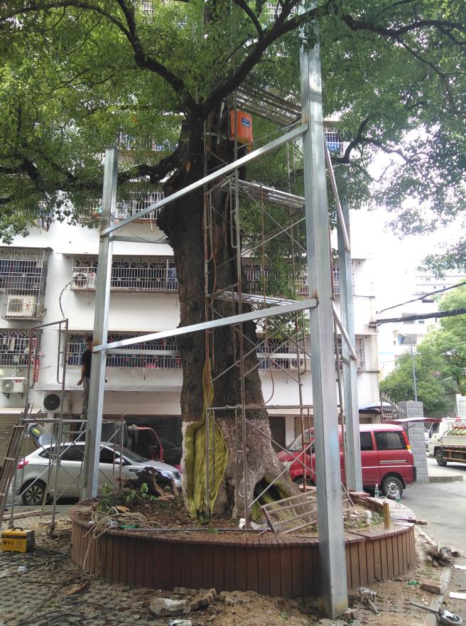 株洲植友職業(yè)培訓學校有限公司_株洲園林綠化養(yǎng)護|株洲綠化管理|病蟲害防治哪里的好|株洲園林綠化工程公司|白蟻防治病蟲害治理